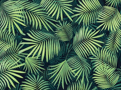 tropical  background - 901154631