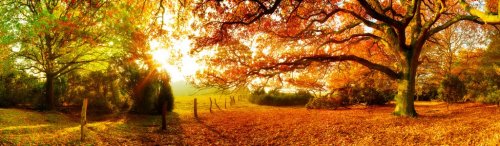 Autumn Landscape - 901154728