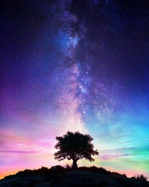 Starry Night - Lonely Tree With Milky Way - 901154753