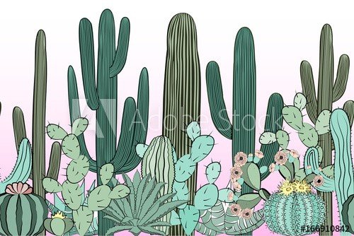 Seamless pattern with cactus. Wild cactus forest - 901154768