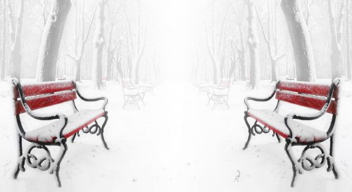 Red benches in the fog in winter