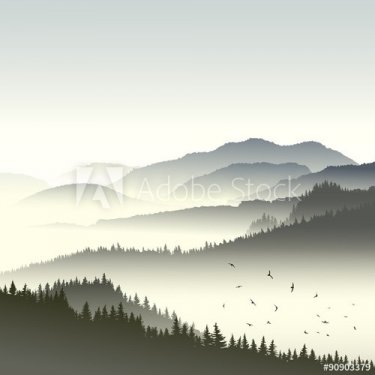 Illustration of coniferous forest on hills in fog. - 901154804