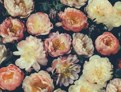 Vintage bouquet of pink and white peonies. Floristic decoration. Floral background. Baroque old fashiones style image. Natural flowers pattern wallpaper
