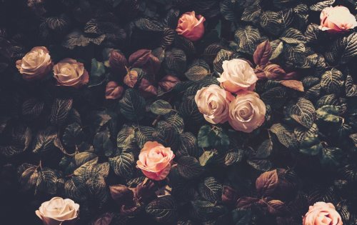 Artificial Flowers Wall for Background in vintage style - 901154832
