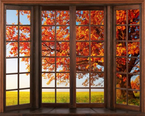 3d window view. Beautiful view of nature from the window.