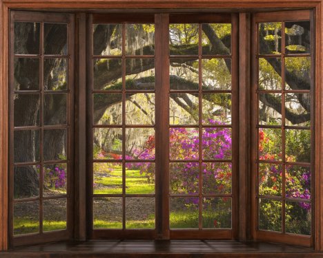 3d window view. Beautiful view of nature from the window. - 901154966