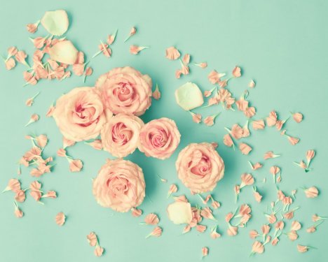Pink roses and petals over mint background - 901155020