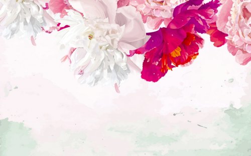White background with bright peonies at the top illustration - 901155073