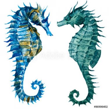 Watercolor seahorses