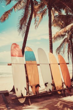 Surfboard and palm tree on beach background. - 901155245