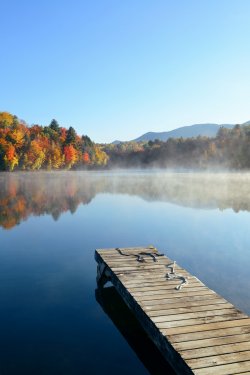 Lake Autumn Foliage fog - 901155333