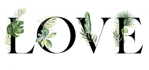 Tropical exotic watercolor floral illustration - LOVE
