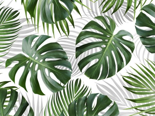 Tropical leaves pattern background design of monstera and yellow palm Summer ... - 901155645