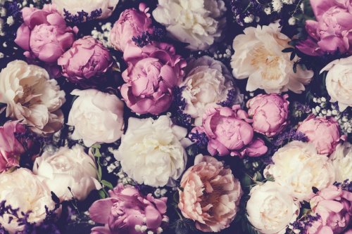 Vintage bouquet of pink and white peonies. Floristic decoration. Floral backg... - 901155823