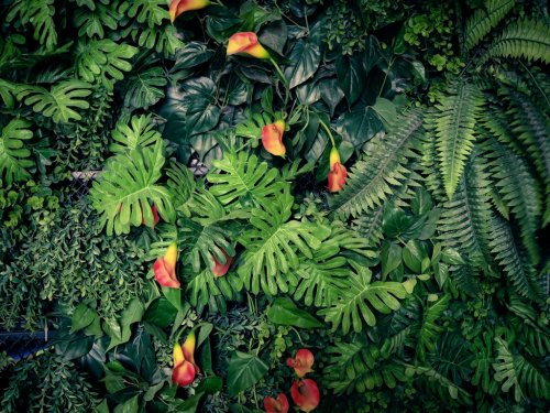 Fashionable green jungle summer background - in exotic vintage tone - 901155840