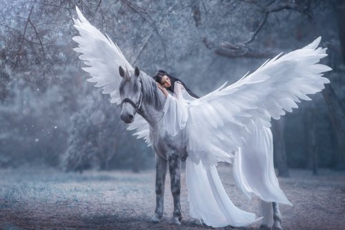 Beautiful, young elf, walking with a unicorn. She is wearing an incredible li... - 901155903