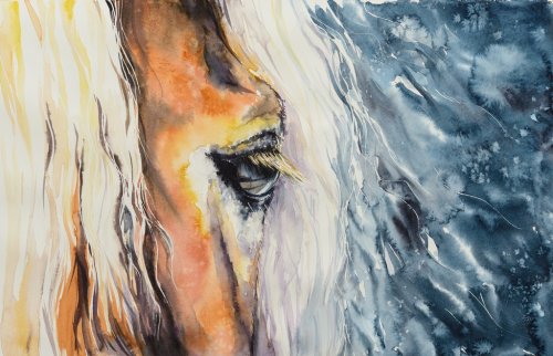 Close-up of a beautiful horses eye.Picture created with watercolors. - 901156105