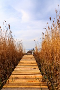 Wooden pier in tranquil lake Balaton - 901156158