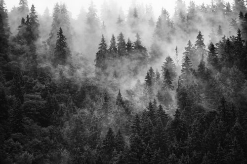 Misty mountain landscape - 901156184