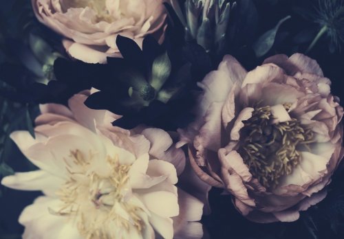 Vintage bouquet of beautiful peonies on black. Floristic decoration. Floral background. Baroque old fashiones style.