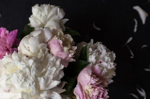 Peonies bouquet on black background - 901156321
