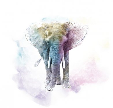 Watercolor Elephant. Digital illustration on white background