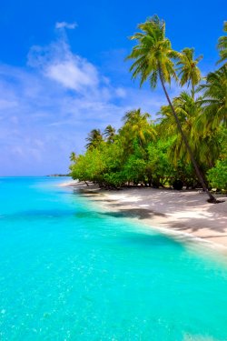 Dream beach with palm trees on white sand and turquoise ocean