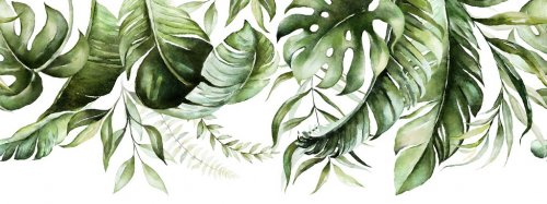 Green tropical leaves on white background. Watercolor hand painted seamless b... - 901156511
