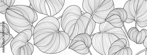 Luxury Nature Black and White background vector. Floral pattern, Ssplit-leaf ... - 901156535