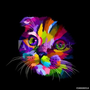 scottish fold cat's head is colorful in the dark