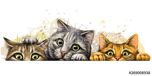 hand-drawn sketch with splashes of watercolor depicting three cute cats on a horizontal surface.