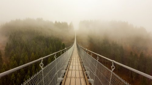 Footbridge Amidst Trees Against Sky During Foggy Weather