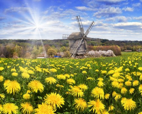 Windmills in the spring
