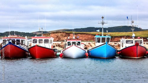 Une rangée de bateaux de pêche de couleur dans le port de Havre Aubert, Îles-... - 901157724