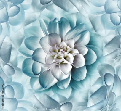 Turquoise dahlia flower. Floral background. Closeup. Nature. - 901157752
