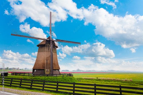 Windmill in Molendjik Neterlands with meadow - 901157767