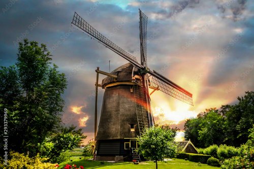 windmill in holland - 901157763
