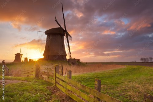 Traditional Dutch windmills at sunrise in The Netherlands