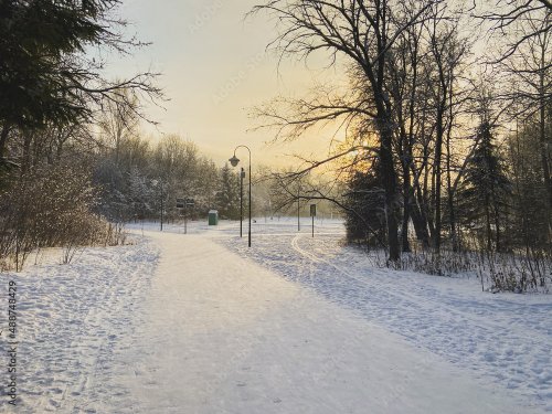 Winter sunset in snow covered park. Season and cold weather concept - 901157907