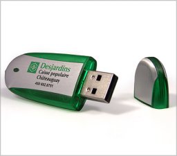 Clé USB F-007