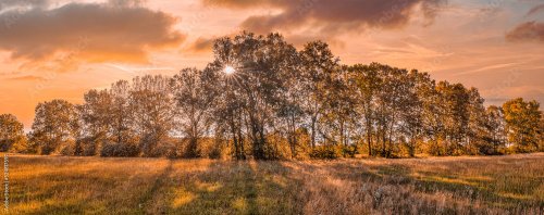 Lever de soleil d'automne coloré sur le pré. Paysage naturel panoramique, cou... - 901158092