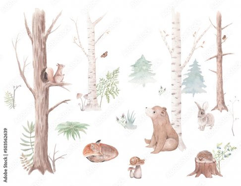 Animaux de la forêt tels qu'ours, écureuil, moineau, renard, lapin, escargot,... - 901158222