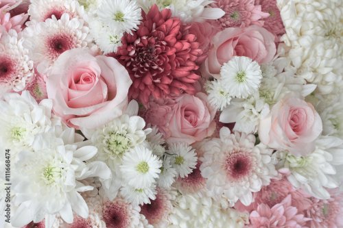 Background of pink and white daisies and roses