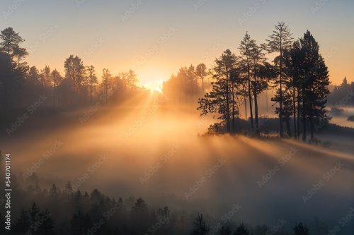 Levé de soleil dans la forêt brumeuse