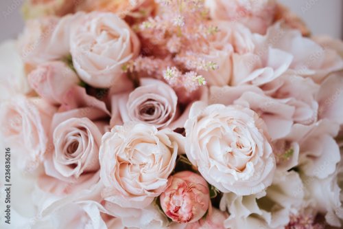 Roses, peonies and decorative plants