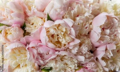 A charming bouquet of peonies