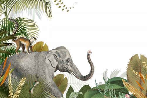 Éléphant sauvage dans la jungle - 901158275