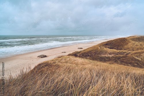 Journée d'hiver nuageuse sur la côte danoise - 901158243