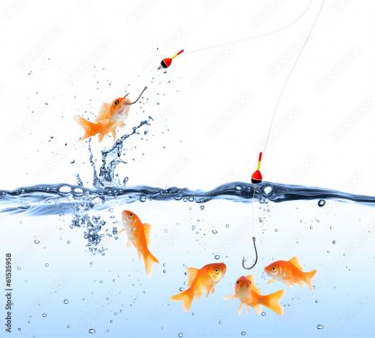 Goldfish bait - 901158309