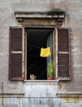 Chat regardant dans la rue depuis une vieille fenêtre à Rome, Italie - 901158291